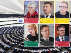 В Эстонии завершились выборы в Европарламент: Яна Тоом вновь в числе евродепутатов