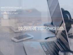 Пограничники Эстонии не будут менять режим работы из-за введения электронных виз в Питер