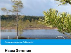 Родион Денисов и Леонид Цингиссер: Наша Эстония общая для всех - без тибл и титлов