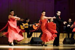 ArteFlamenco - уголок Испании в Эстонии