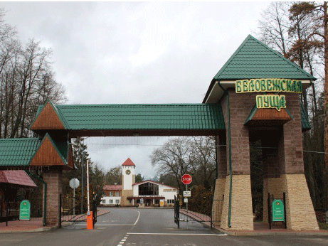 Белорусский национальный парк «Беловежская пуща» доступен для иностранных туристов без виз