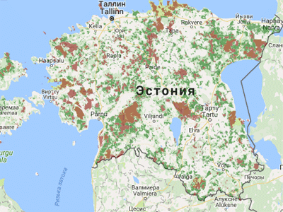 В Эстонии в канун 2017 года вновь можно самостоятельно приобрести ёлку прямо в лесу.