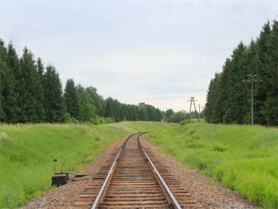 Вместо рельсов - велодорожки: Эстония и Латвия создают `Зеленые железные дороги`