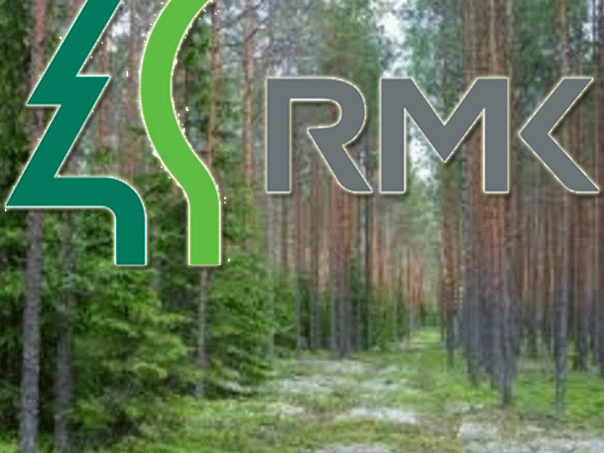 Центр управления лесами Эстонии приглашает жителей страны принять участие в посадке  леса.