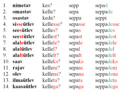 Филологи: Работы по выявлению происхождения эстонских слов продолжаются