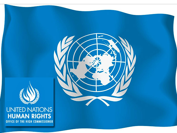 В ООН вновь обратили внимание на ситуацию с правами русского нацменьшинства в Эстонии.