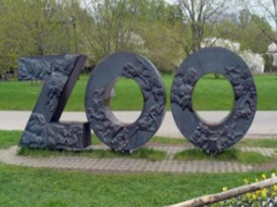 Таллинский зоопарк ждёт гостей с 19 мая: Пока без детских тележек и закрыт Тропикариум.