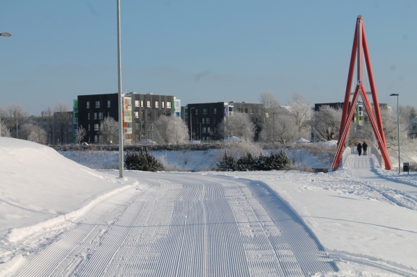 Лыжные трассы в таллинских парках Тондираба и Паэ ждут желающих улучшить своё здоровье.