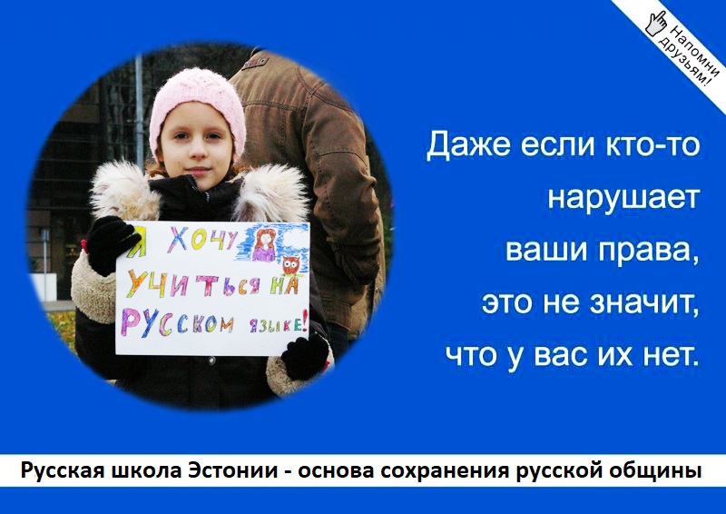 Впереди Госсуд и/или ЕСПЧ: Борьба родителей за русскую школу в Кейла продолжается