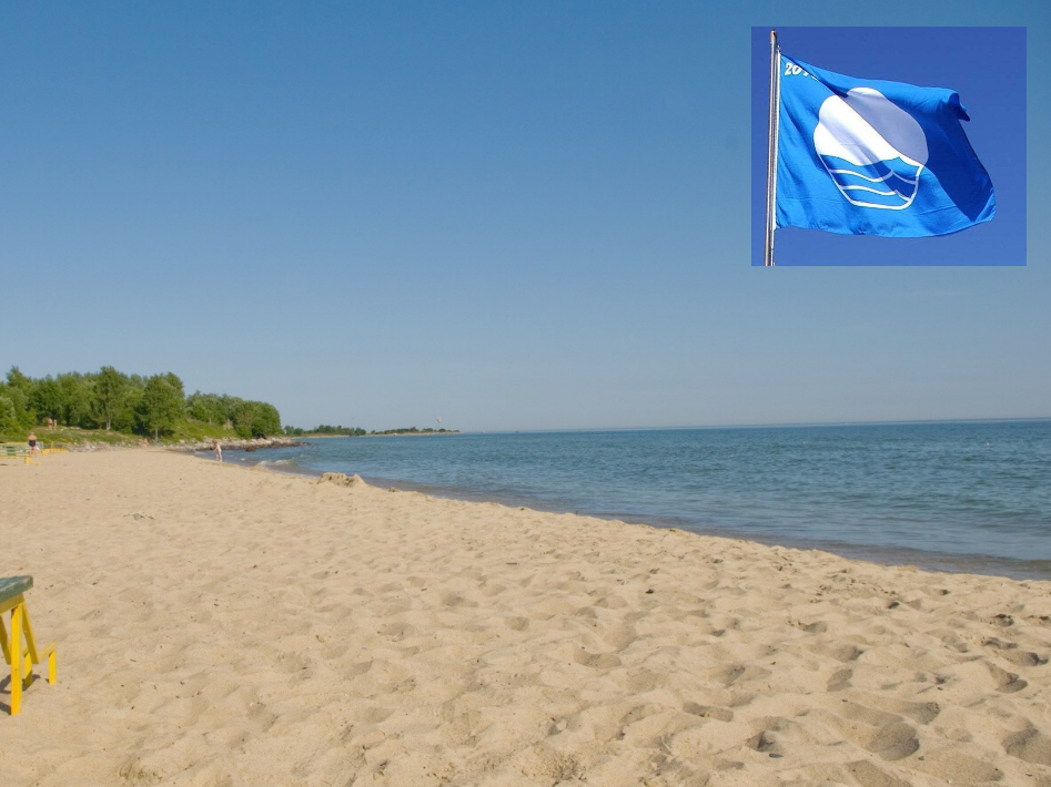 Купальный сезон в Таллине открыт: от Голубого флага на пляже Пикакари до бассейна Харку