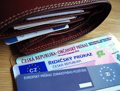 Чешская республика вводит институт двойного гражданства.