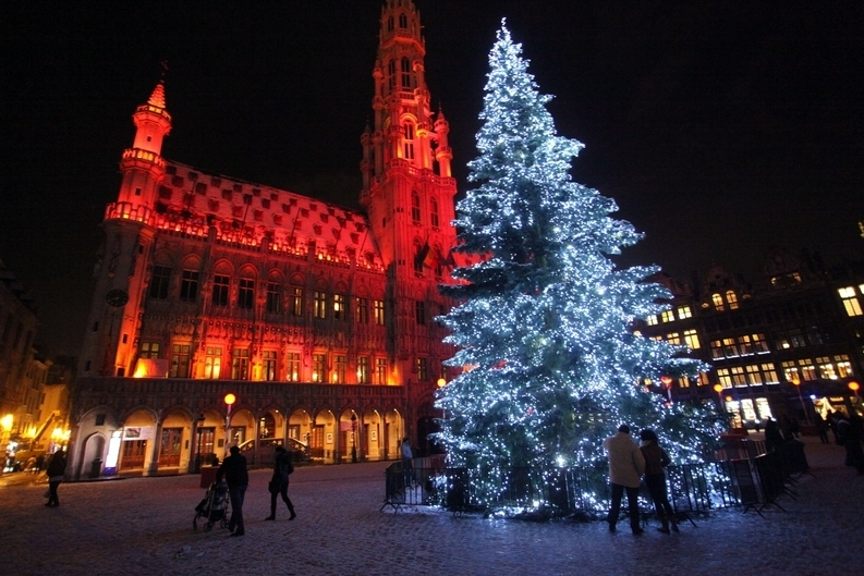 Рождественскую ёлку в Брюсселе заменят на `электронное зимнее дерево`.