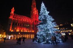 Рождественскую ёлку в Брюсселе заменят на `электронное зимнее дерево`