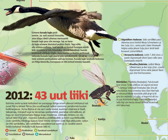 Eesti Päevaleht: За 2012 год в Эстонии найдено 43 новых вида живых существ.