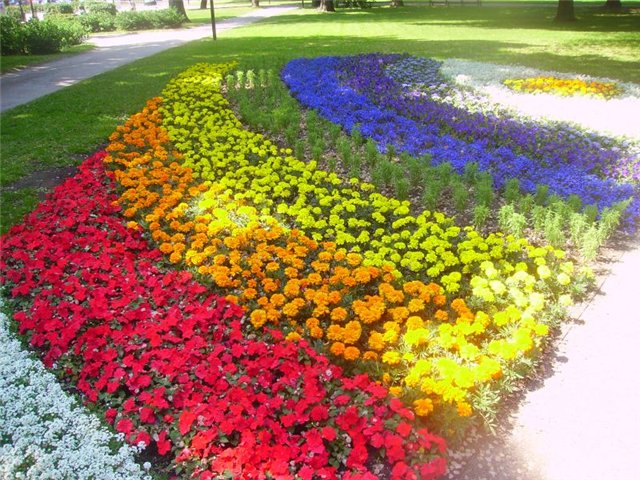 С 24 мая по 24 августа в Таллине пройдёт V международный цветочный фестиваль