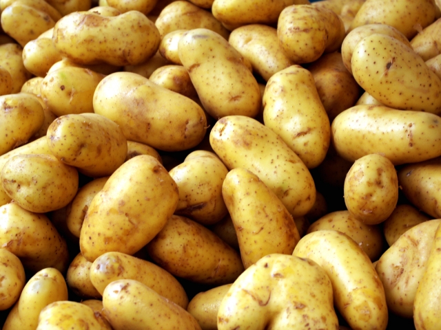 Нынешний год стал в Эстонии урожайным для картофеля, но площадь его посевов убывает.