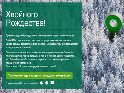 В Эстонии седьмой год подряд можно выбрать новогоднюю ёлку прямо в лесу.